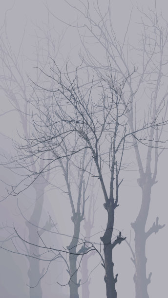 树木背景的3D阴影图片下载