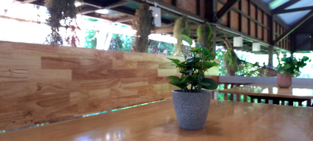 植物图片图片下载