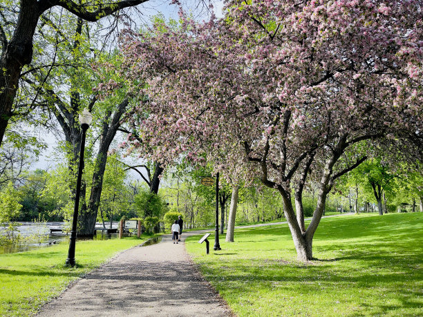 公园春游图片下载