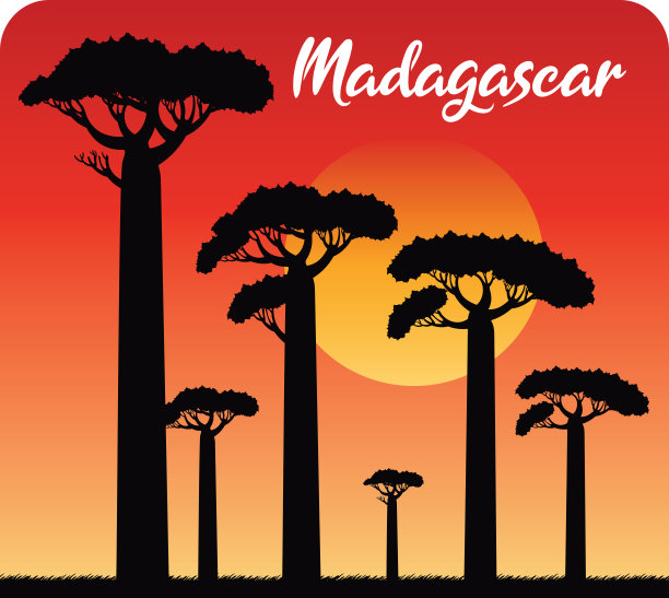 猴面包树，猴面包树大道，马达加斯加图片下载