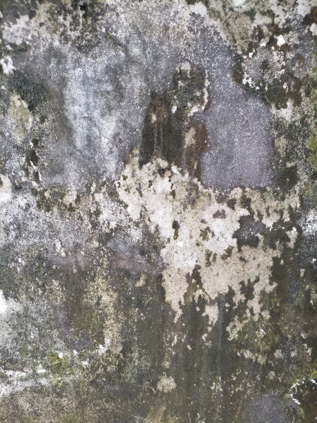 房子墙壁上的黑霉照片。图片下载