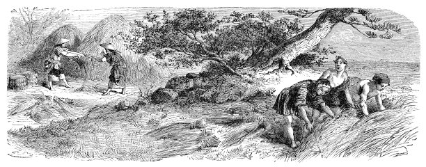 1876年，一名日本农民在收割水稻图片下载