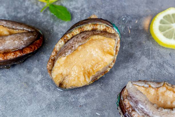 鲍鱼海鲜(Haliotis)与冰块和柠檬片在桌面上，厨房内部，近距离图片下载