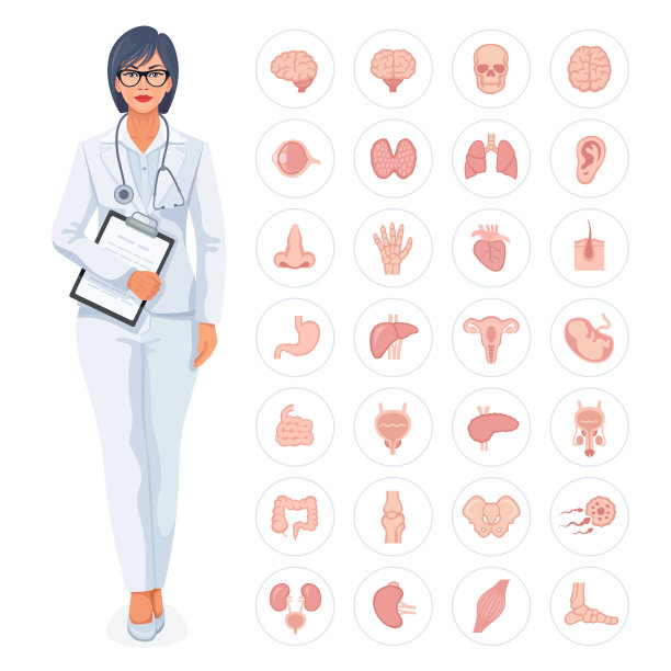 医学概念向量。女医生。图片下载