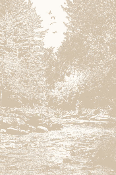 荒野河流和急流图片下载