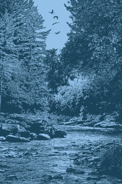 荒野河流和急流图片下载