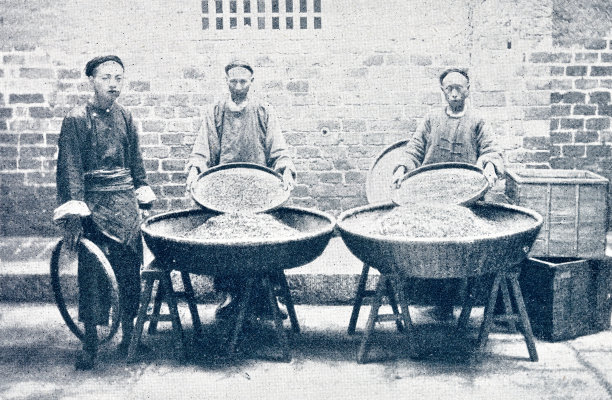 武汉、茶叶分类器图片下载