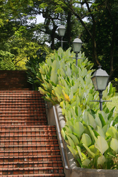 通往公园的楼梯图片下载