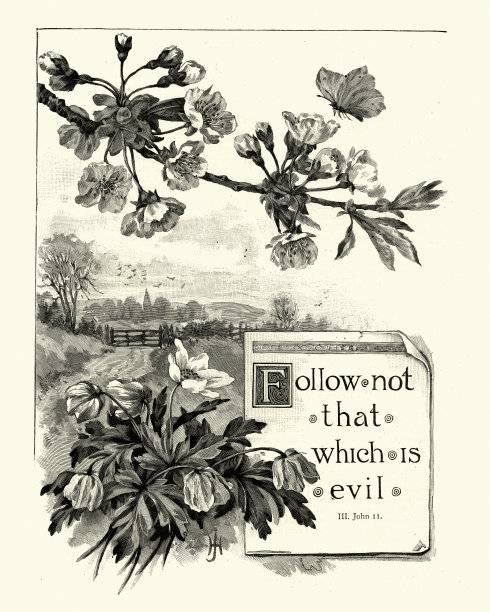 圣经语录:“不要追随邪恶。图片下载