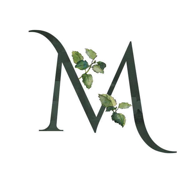 黑色字母M符号与绿色的梅利莎细枝图片下载