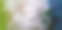 网络结构图片下载