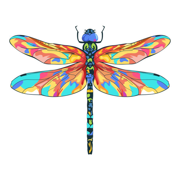 矢量美丽的蜻蜓卡通插图孤立图片下载
