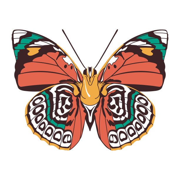 矢量美丽的蝴蝶卡通插图孤立图片下载