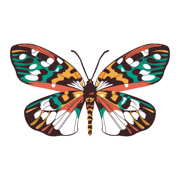 矢量美丽的蝴蝶卡通插图孤立图片下载