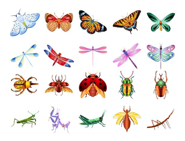 集矢量卡通昆虫学昆虫性格孤立插图图片下载