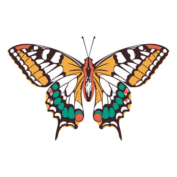 矢量美丽的燕尾蝴蝶卡通插图孤立图片下载