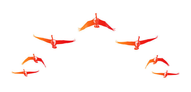 一群加拿大大雁以v字形编队飞行图片下载