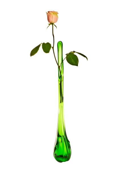粉红色玫瑰插在高高的绿色花瓶里图片下载