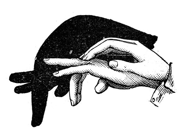 古董插图:影子图片下载