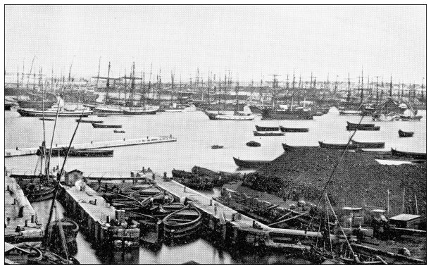 埃及亚历山大港海港古董旅行照片图片下载