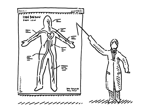 科学家解释人体血液循环图图片下载