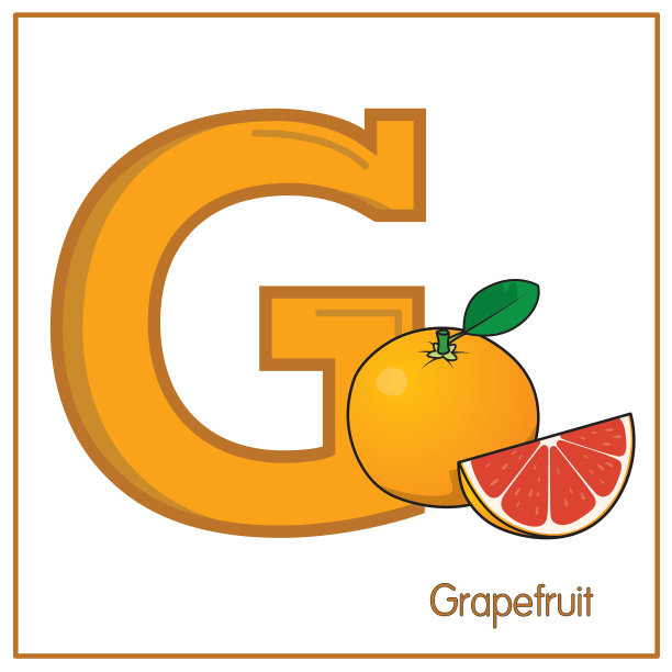向量插图葡萄柚与字母G大写字母为儿童学习实践ABC图片下载
