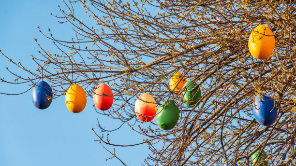 树上的复活节彩蛋图片下载