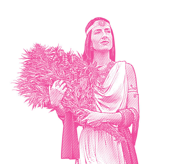 拿着大麻花束的女人图片下载