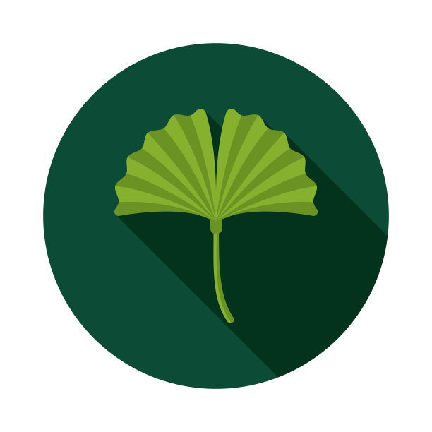 银杏平面设计自然疗法图标与侧影图片下载