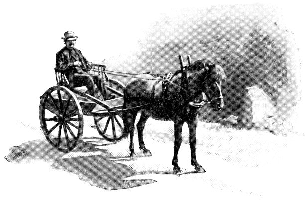 斯堪的纳维亚风格的车在卑尔根，挪威- 19世纪图片下载