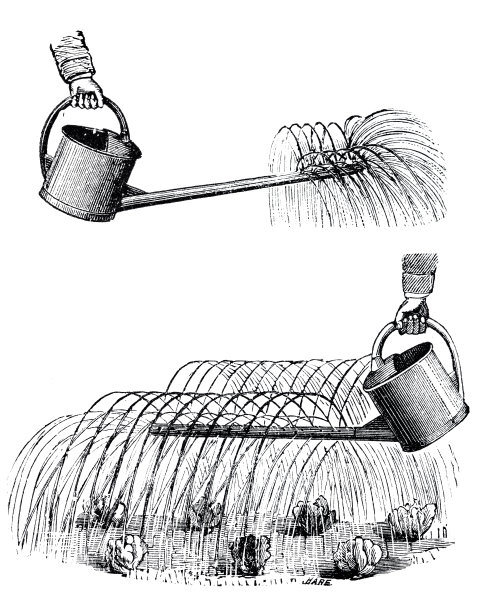 有多个喷水口的喷壶，白色背景图片下载