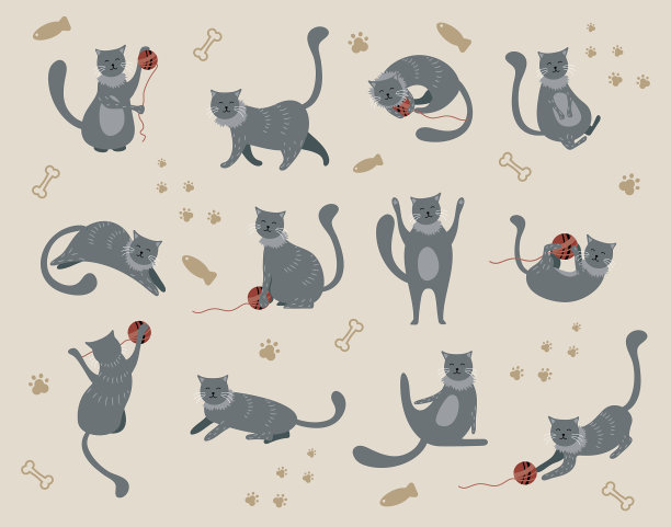 灰色的猫在米色背景上图片下载