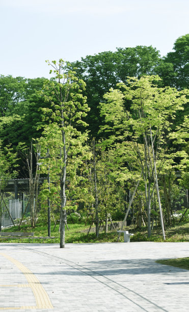 办公园区图片下载