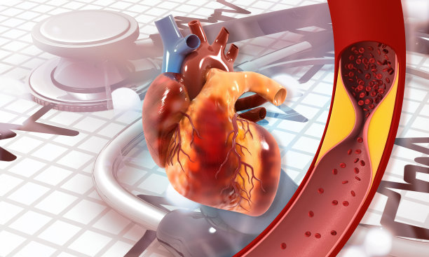 阻塞的血管，动脉与人类心脏解剖图片下载