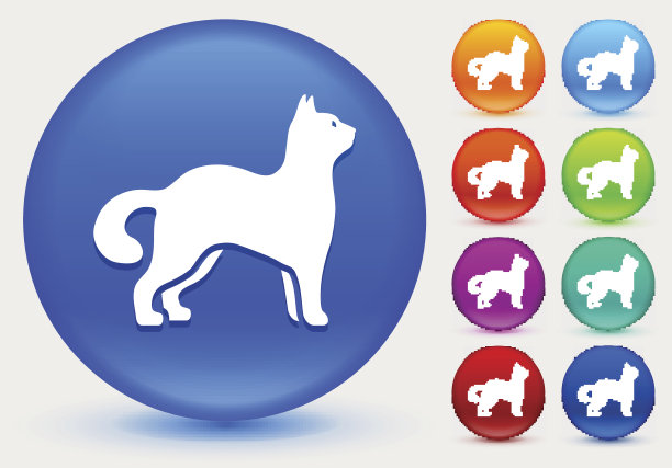 猫图标在闪亮的颜色圆圈按钮图片下载