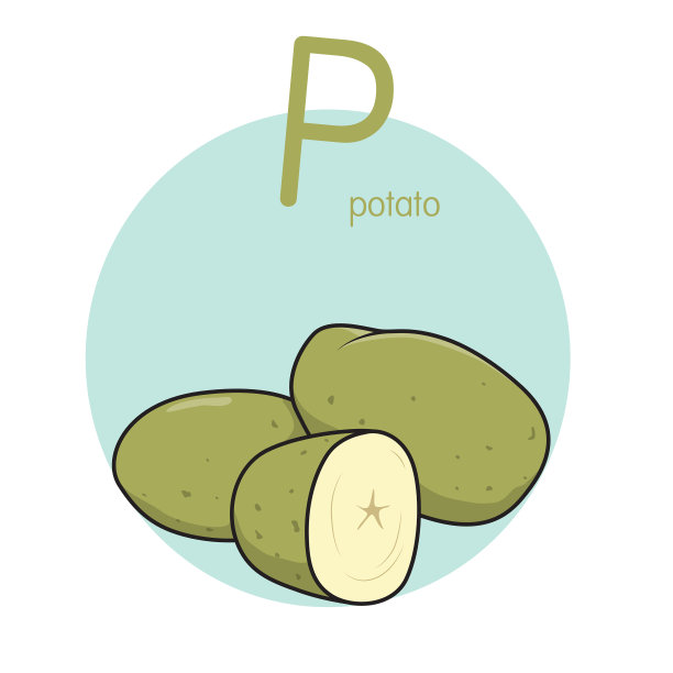 矢量马铃薯插图与字母P大写字母或大写字母的儿童学习练习ABC图片下载