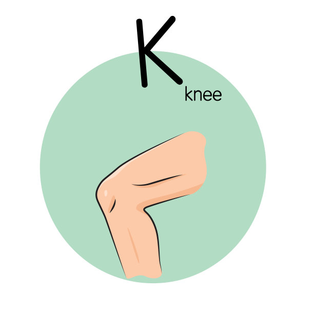 向量插图的儿童活动涂色书页与图片的膝盖。图片下载