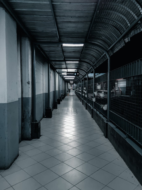 空荡荡的走廊里站图片下载