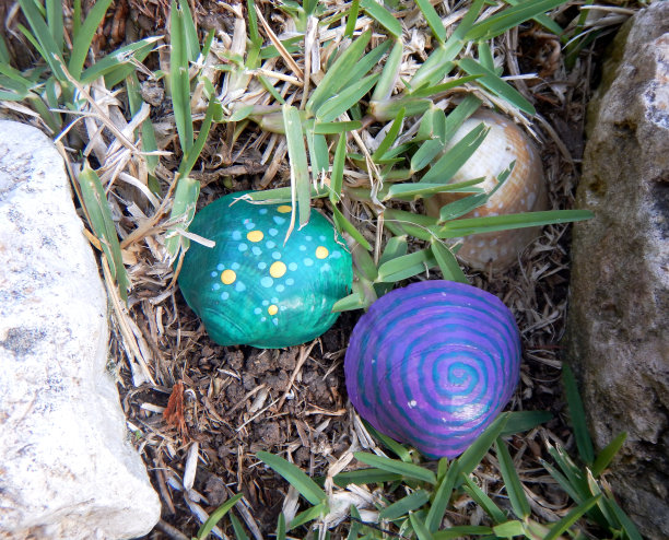 彩绘贝壳与绘画图片下载