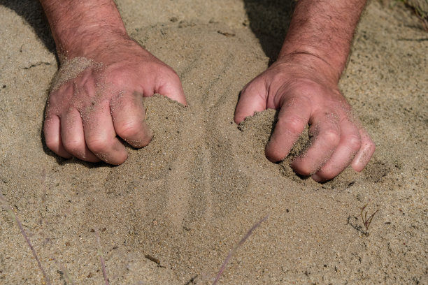 男人的手耙出沙子。行动中的紧张。图片下载