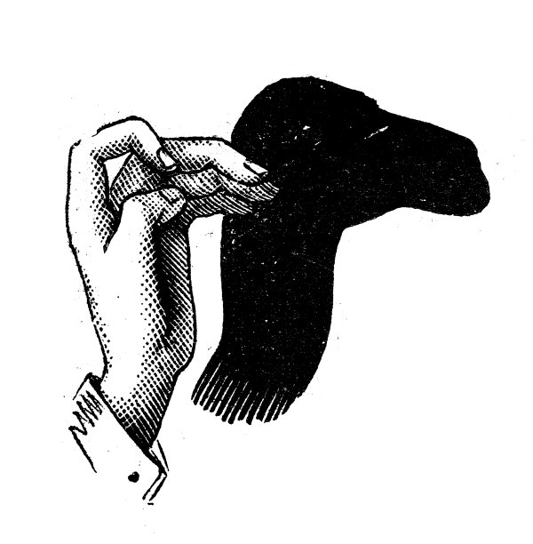 古董插图:影子图片下载