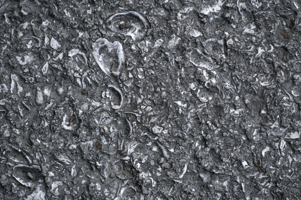 海，她会凝固图片下载