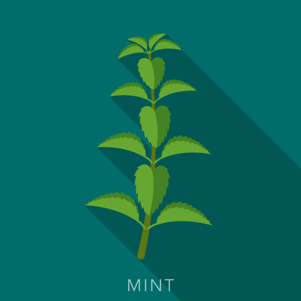 薄荷香草和香料图标图片下载