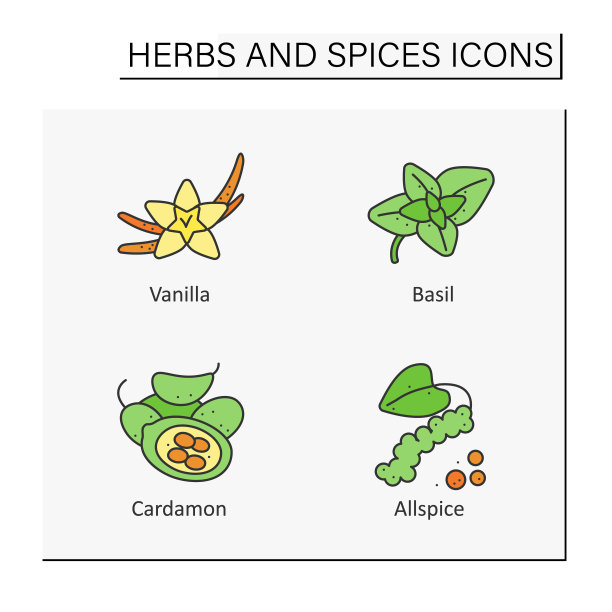 香草和香料颜色图标设置图片下载