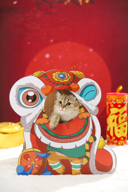 宠物新年主题图片，宠物穿衣服，红色节日主题，特写(翻译:“福”字意味着吉祥和祝福)图片下载