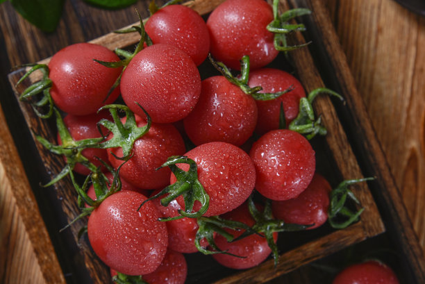 新鲜的表面有水滴的圣女果，木制容器和木制桌面，圣女果，蕃茄，番茄变种图片下载