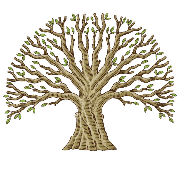 大彩色树涂鸦插图图片下载