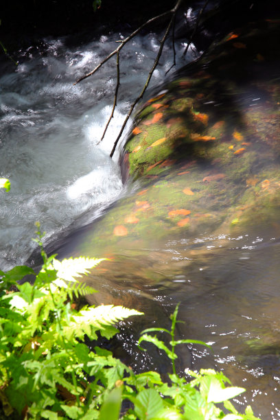 掉落的彩色秋叶浸泡在透明的瀑布水中，意大利拉齐奥维特博的科尔基亚诺瀑布图片下载