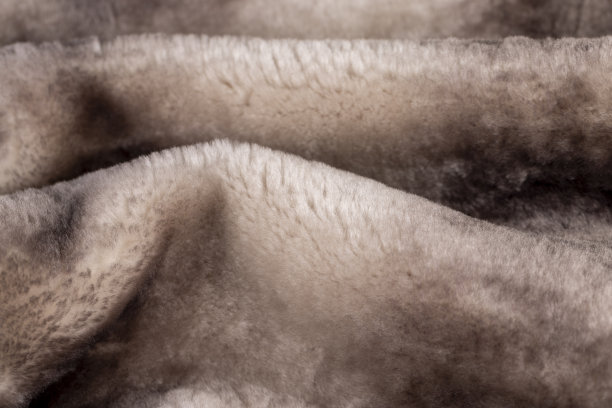 羊皮毛皮大衣的一部分特写图片下载