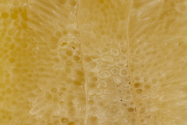 无皮甜柚子特写图片下载